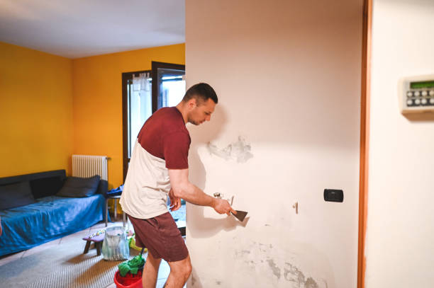 Best Basement Mold Remediation in Bellview, FL